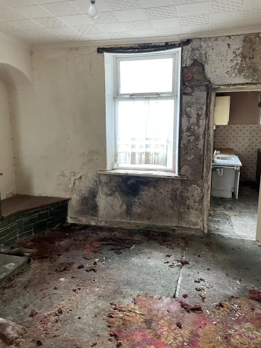 Room with heavy mould on the walls and stained flooring showing extensive deterioration