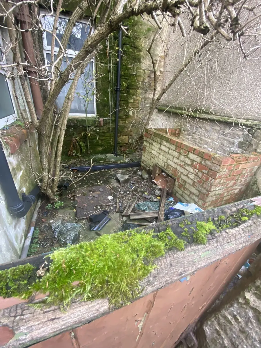 Enclosed yard with moss-covered brickwork, overgrown vegetation and scattered rubbish